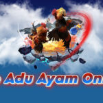 Live Adu Ayam Online