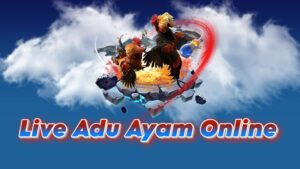Live Adu Ayam Online