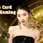 Three Card Dream Gaming