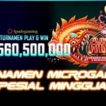 Turnamen Microgaming Spesial Mingguan